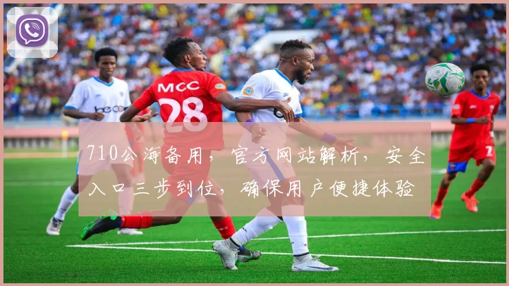 710公海备用，官方网站解析，安全入口三步到位，确保用户便捷体验，