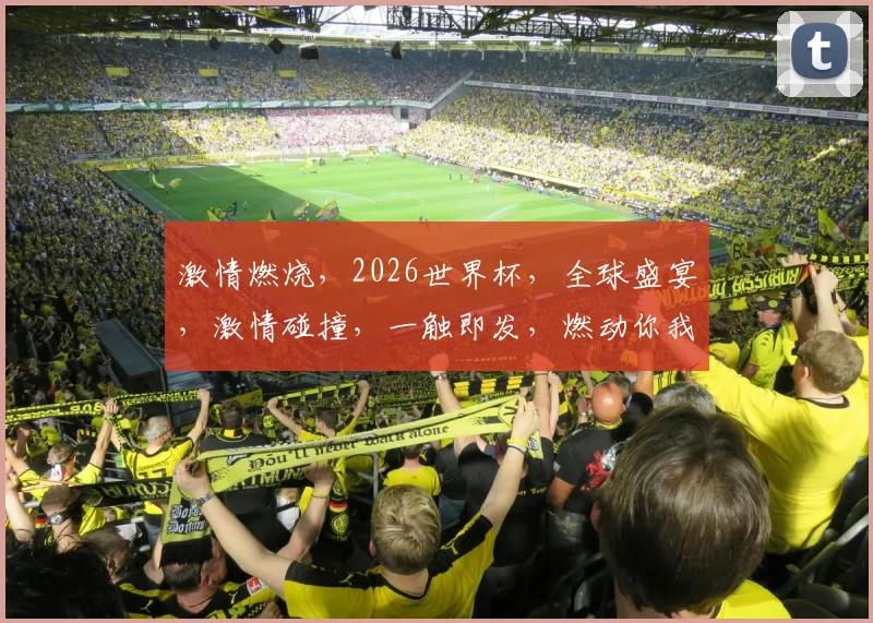 激情燃烧，2026世界杯，全球盛宴，激情碰撞，一触即发，燃动你我